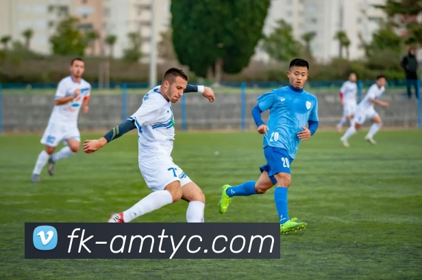 太阳城网站平台生态图